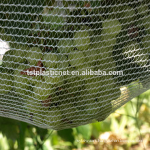 anti hail net for apple tree and tomato plantation , agriculture anti hail net ,hail protection net